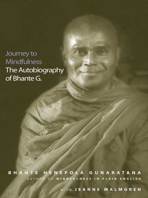 cover image of Journey to Mindfulness